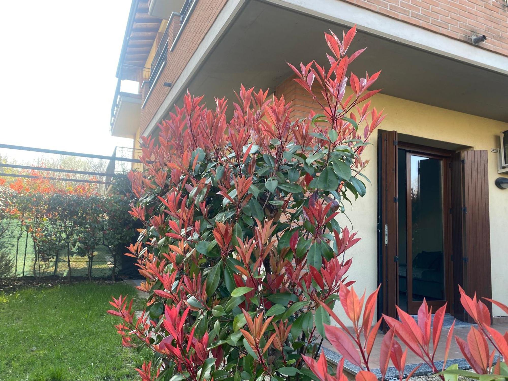 קומו Camille Garden Home - Free Park מראה חיצוני תמונה